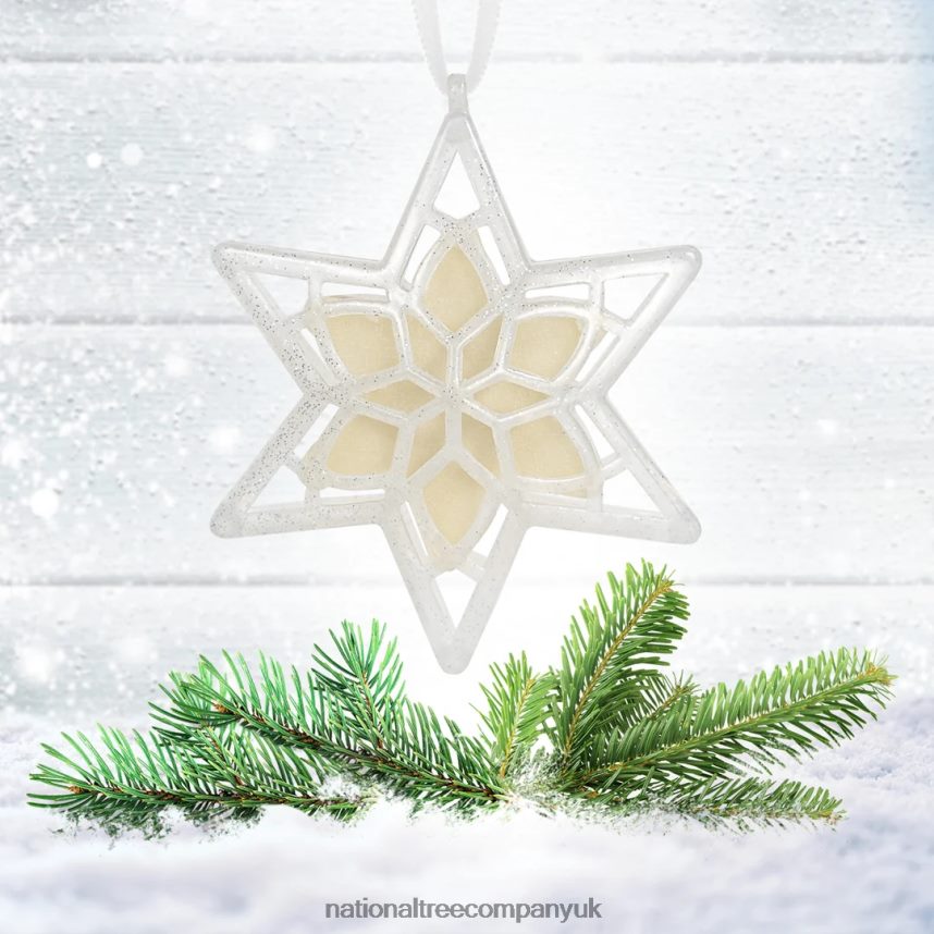 decoration | National Tree Company Scentsicles Scented Star Ornament White Winter Fir 2-Pack F2L4F543
